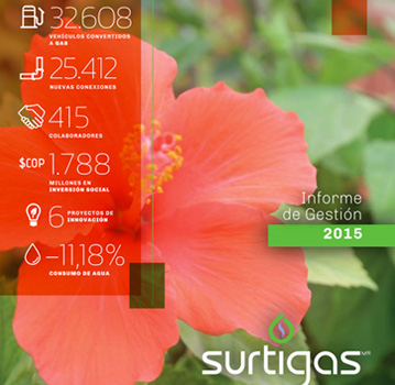 surtigas_informe_2015.jpg